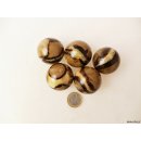 1 St&uuml;ck Septarien Kugel Madagaskar D 40 mm Rarit&auml;t