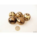 1 St&uuml;ck Septarien Kugel Madagaskar D 45 mm Rarit&auml;t