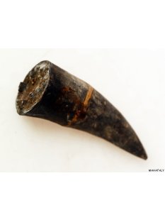 Zauberhorn Mohara ody Nr.14 Amulett und Fetisch der...