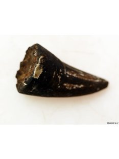 Zauberhorn Mohara ody Nr.15 Amulett und Fetisch der...