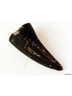 Zauberhorn Mohara ody Nr.15 Amulett und Fetisch der Sakalava 8 cm ca. 1970