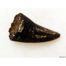 Zauberhorn Mohara ody Nr.15 Amulett und Fetisch der Sakalava 8 cm ca. 1970