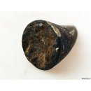 Zauberhorn Mohara ody Nr.15 Amulett und Fetisch der Sakalava 8 cm ca. 1970