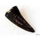 Zauberhorn Mohara ody Nr.15 Amulett und Fetisch der Sakalava 8 cm ca. 1970