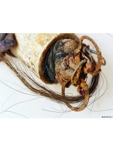 Zauberhorn Mohara ody Nr.17 Amulett und Fetisch der...