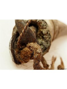 Zauberhorn Mohara ody Nr.18 Amulett und Fetisch der Sakalava 30 cm ca. 1950