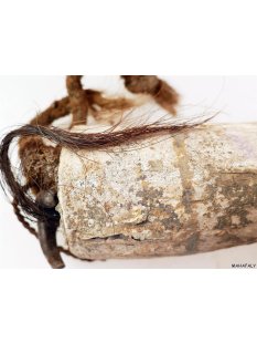 Zauberhorn Mohara ody Nr.18 Amulett und Fetisch der Sakalava 30 cm ca. 1950