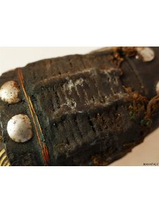 Zauberhorn Mohara ody Nr.22 Amulett und Fetisch der Sakalava 25 cm ca.1960