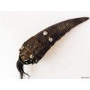 Zauberhorn Mohara ody Nr.22 Amulett und Fetisch der Sakalava 25 cm ca.1960