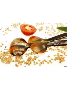 Horn Salatbesteck Sabah 23 cm = Code E