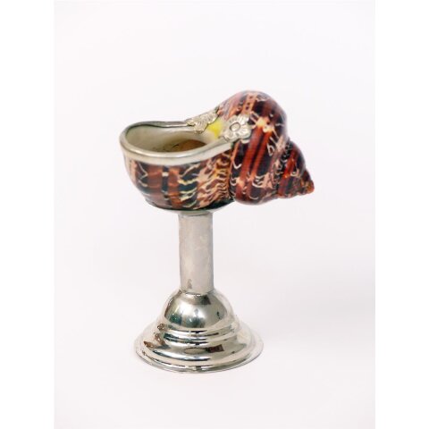Pokal Nr.2 einer Turbanschnecke mit Silberblech 8 cm = Code K