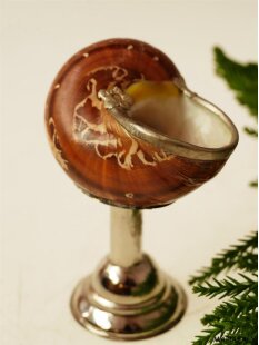 Pokal Nr.2 einer Turbanschnecke mit Silberblech 8 cm = Code K