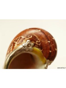 Pokal Nr.2 einer Turbanschnecke mit Silberblech 8 cm = Code K