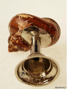 Pokal Nr.2 einer Turbanschnecke mit Silberblech 8 cm = Code K