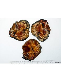 SHL130 versteinertes Holz 3 x beidseitig polierte...