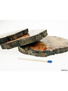 SHL130 versteinertes Holz 3 x beidseitig polierte Scheiben 290g D  90 mm