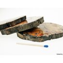 SHL130 versteinertes Holz 3 x beidseitig polierte Scheiben 290g D  90 mm