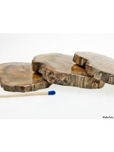 SHL131 versteinertes Holz 3 x beidseitig polierte Scheiben 240g D  70 mm