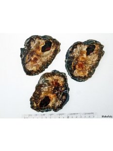 SHL138 versteinertes Holz 3 x beidseitig polierte...
