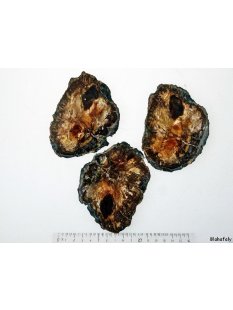 SHL138 versteinertes Holz 3 x beidseitig polierte...