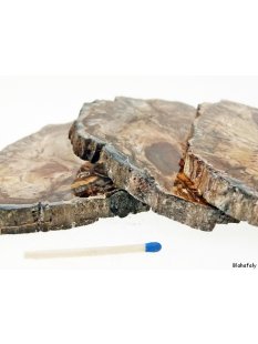 SHL138 versteinertes Holz 3 x beidseitig polierte Scheiben 300g D  90mm