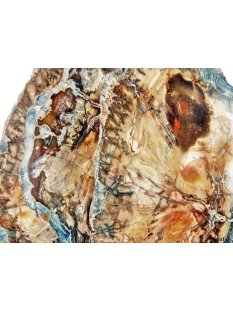 SHL138 versteinertes Holz 3 x beidseitig polierte Scheiben 300g D  90mm