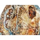 SHL138 versteinertes Holz 3 x beidseitig polierte Scheiben 300g D  90mm