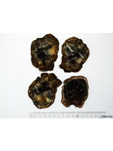 SHL144 versteinertes Holz 4x beidseitig polierte Scheiben...