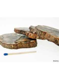 SHL144 versteinertes Holz 4x beidseitig polierte Scheiben 295g D  80mm