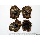 SHL144 versteinertes Holz 4x beidseitig polierte Scheiben 295g D  80mm