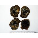 SHL144 versteinertes Holz 4x beidseitig polierte Scheiben 295g D  80mm