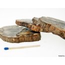 SHL144 versteinertes Holz 4x beidseitig polierte Scheiben 295g D  80mm