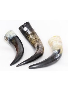 Zier- und Trinkhorn 40 cm 1A Qualit&auml;t 0,5 bis 0,59 Liter = Code D