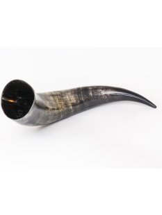 Zier- und Trinkhorn 40 cm 1A Qualit&auml;t 0,5 bis 0,59 Liter = Code D