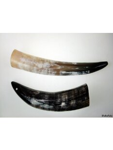 Zier- und Trinkhorn 50 cm 1A Qualit&auml;t 0,7 bis 0,79 Liter = Code G