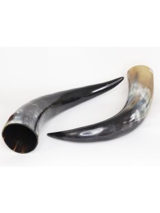 Zier- und Trinkhorn 50 cm 1A Qualit&auml;t 0,7 bis 0,79 Liter = Code G