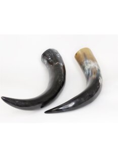 Zier- und Trinkhorn 50 cm 1A Qualit&auml;t 0,7 bis 0,79 Liter = Code G