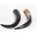 Zier- und Trinkhorn 50 cm 1A Qualit&auml;t 0,7 bis 0,79 Liter = Code G