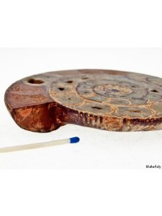 AM45 Ammoniten Paar poliert D 130 mm