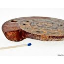 AM45 Ammoniten Paar poliert D 130 mm