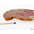 AM46 Ammoniten Paar poliert D 100 mm