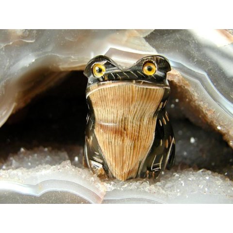 Hornfigur Frosch grinsend 3 cm = Code A