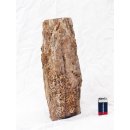 SHN26 versteinertes Holz Stamm naturbelassen Oberseite poliert 6550 g