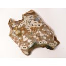 OJS41 Augenjaspis / Polychromjaspis Scheibe 20 cm 1190 g