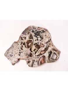 OJS41 Oceanjaspis / Polychromjaspis Scheibe 22 cm 807 g