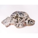 OJS41 Oceanjaspis / Polychromjaspis Scheibe 22 cm 807 g