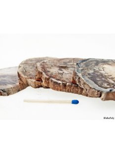 SHL147 versteinertes Holz 4x beidseitig polierte Scheiben 320 g D: 55 mm