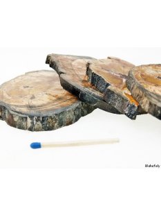 SHL149 versteinertes Holz 4x beidseitig polierte Scheiben 310 g D: 70  mm