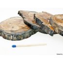SHL149 versteinertes Holz 4x beidseitig polierte Scheiben 310 g D: 70  mm