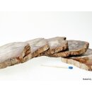 SHL160 versteinertes Holz 5 x beidseitig polierte Scheiben 230g D: 90  mm